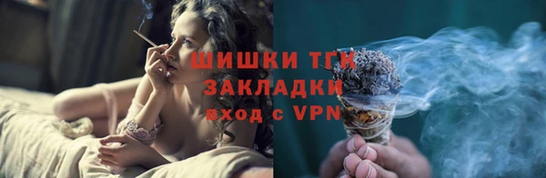 гидра Алексин