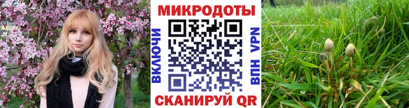 Купить закладки  Фокино  Галлюциногенные грибы Magic Shrooms 